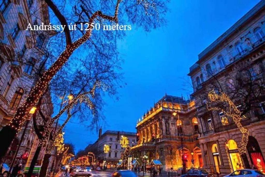 Keleti Apartment City Center Big Flat Bedroom Private Use Budapesta Exterior foto